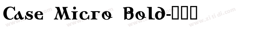 Case Micro Bold字体转换